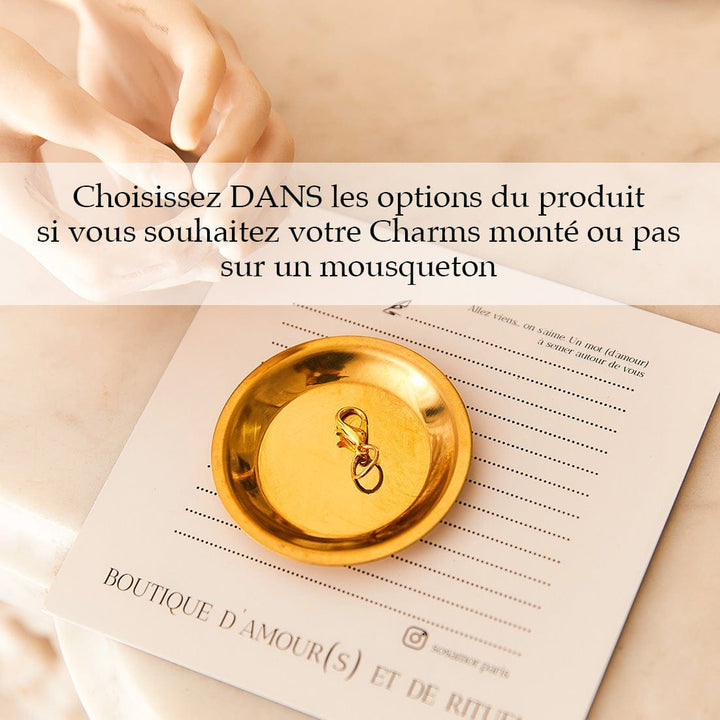 Sos Amor Paris Charm's Avec Mousqueton Charm's CRISTAL Noir